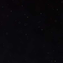 سنگ کورین برند اورانوس | سمپل سنگ کورین اورانوس | فراسنگ