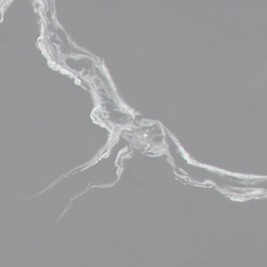سنگ کورین برند فورمینو | سمپل سنگ کورین فورمینو | فراسنگ